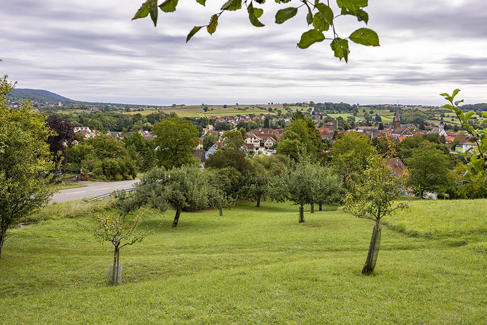 Monument Westfaalse Fuselier Regiment Nr. 37 / von Steinmetz #8