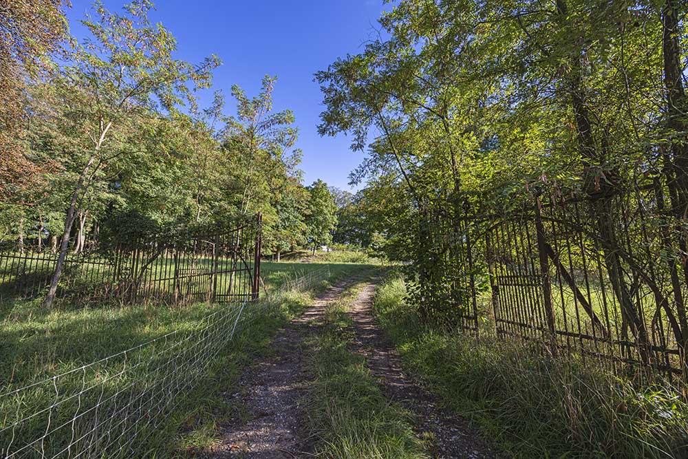 Kaiser Friedrich Park 