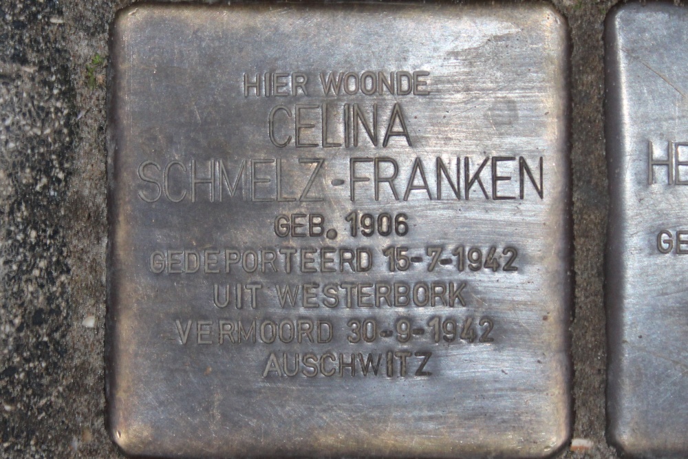 Stumbling Stones Rijnstraat 209 #2