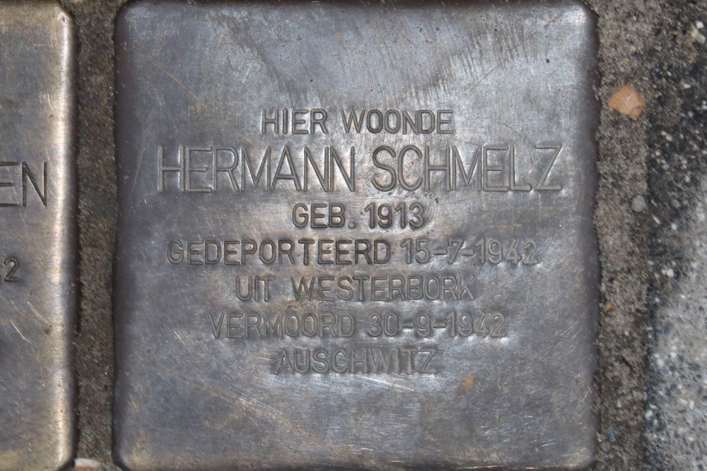 Stumbling Stones Rijnstraat 209 #3