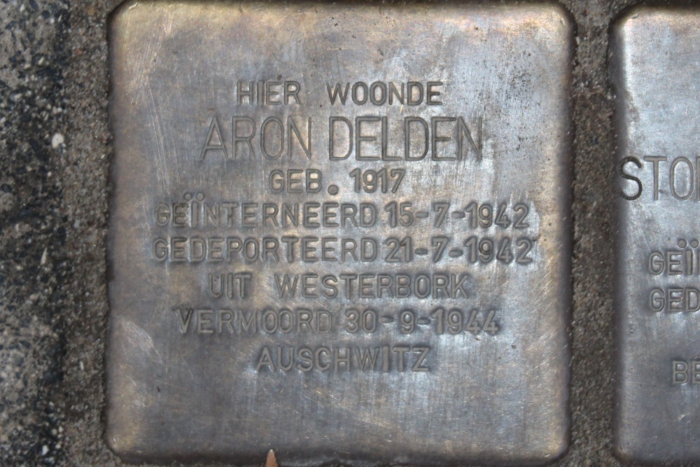 Stumbling Stones Rijnstraat 209 #4