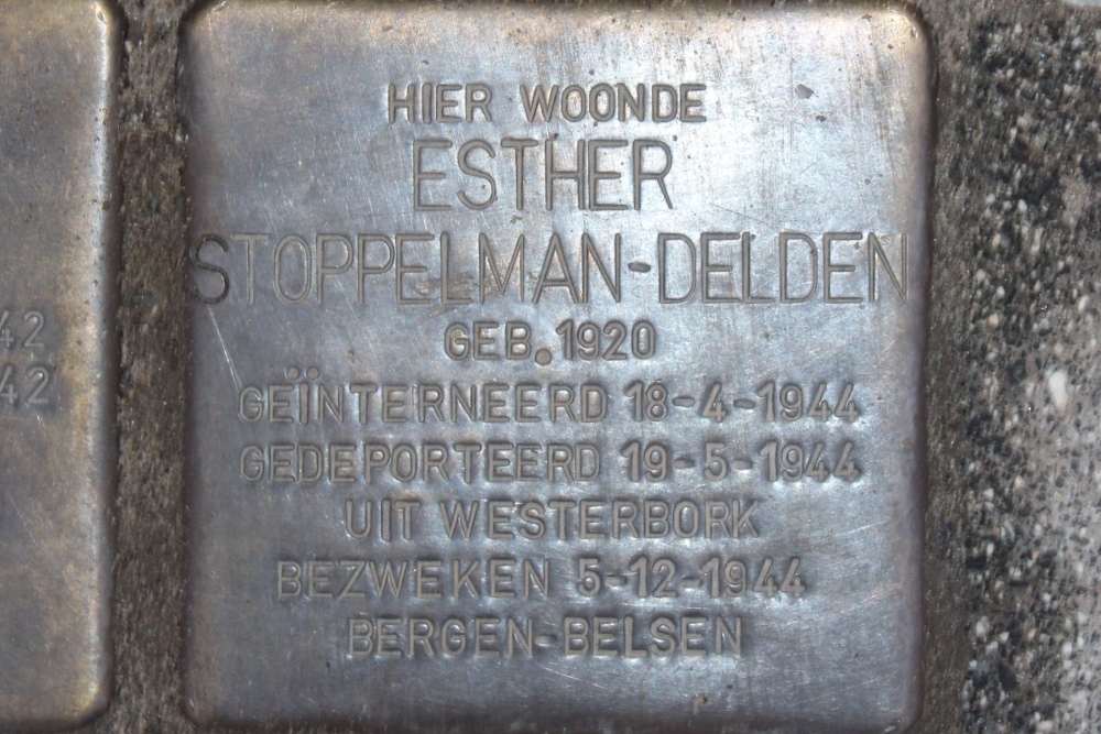 Stumbling Stones Rijnstraat 209 #5