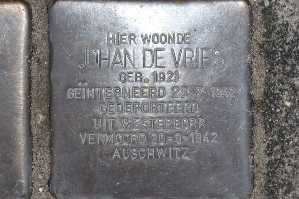 Stumbling Stones Rijnstraat 207 #3