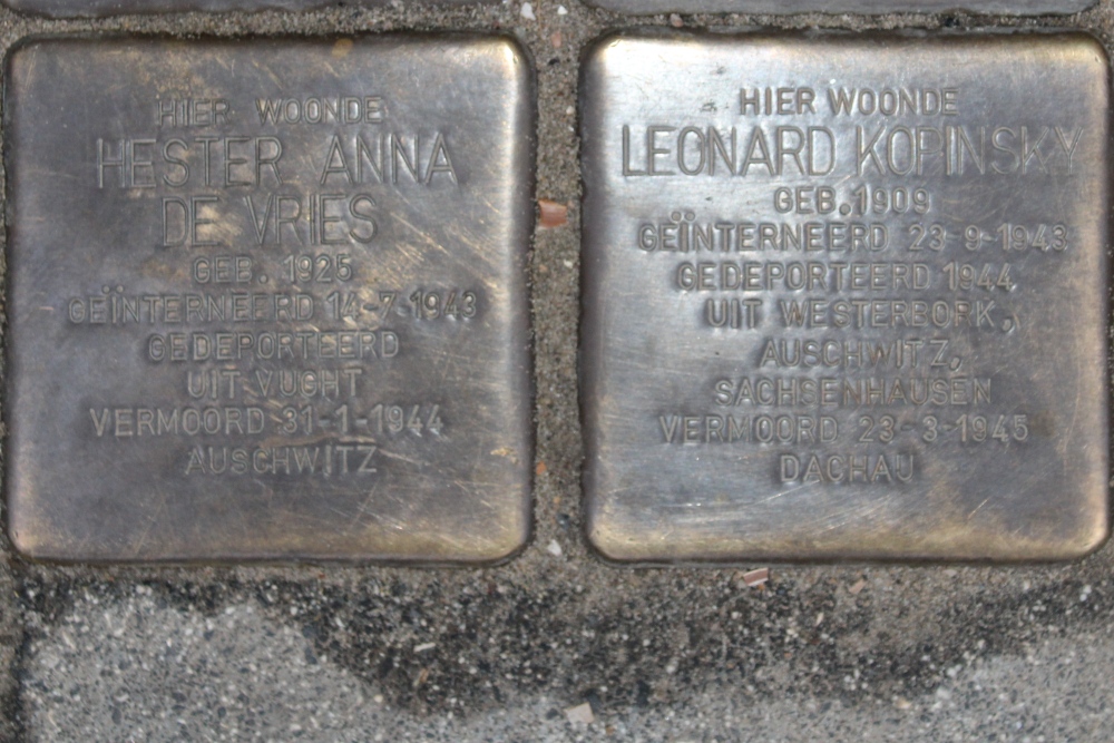 Stumbling Stones Rijnstraat 207 #4