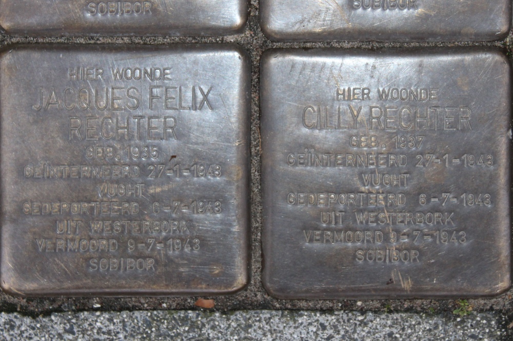 Stumbling Stones Rijnstraat 201 #2