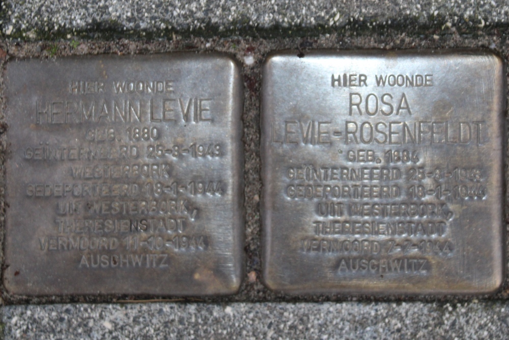 Stumbling Stones Rijnstraat 201 #3