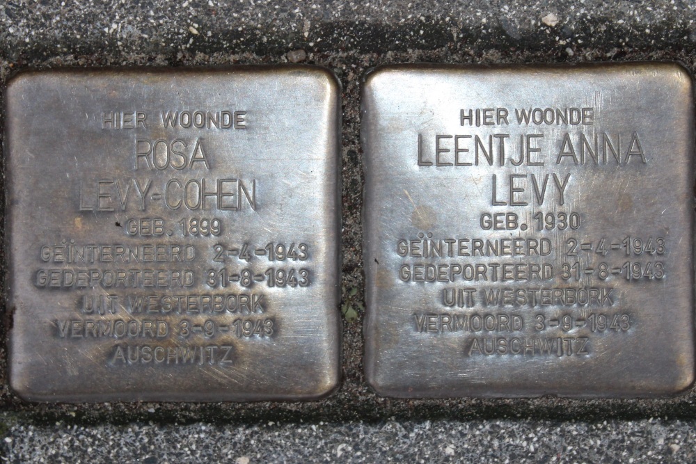 Stumbling Stones Rijnstraat 201 #5