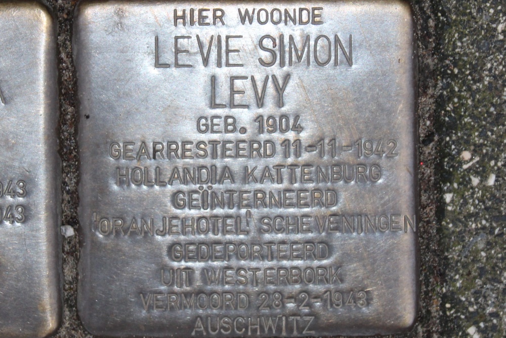 Stumbling Stones Rijnstraat 201 #6