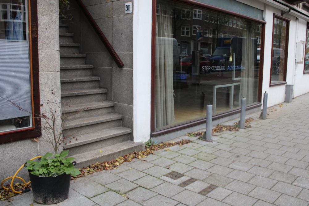 Stumbling Stones Rijnstraat 201 #7
