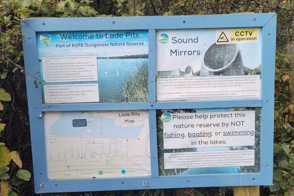 Denge Sound Mirrors #8