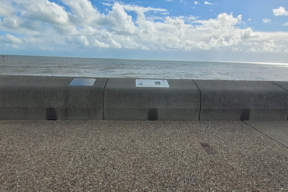 'C' Coy 4th Battalion SLI Grenade Explosion