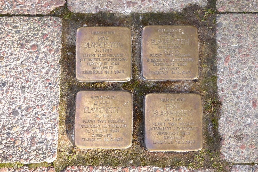 Stolpersteine Neumarkt 5 #1