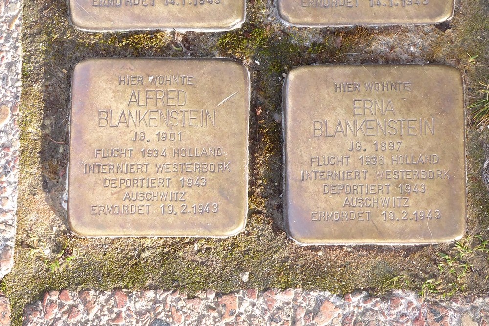 Stolpersteine Neumarkt 5 #5