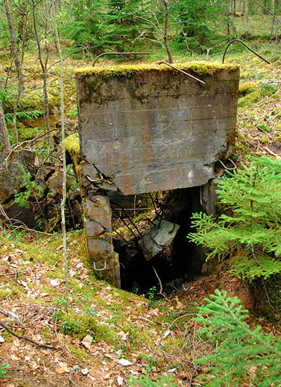 VT Linie - Restant Bunker #1
