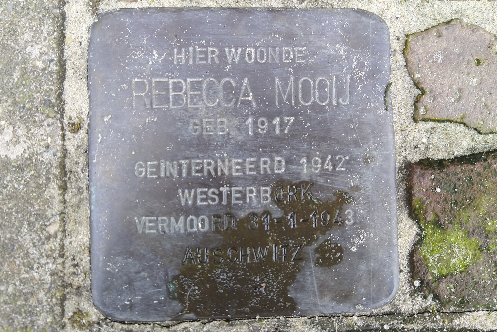 Stolpersteine Kievietstraat 50 #2