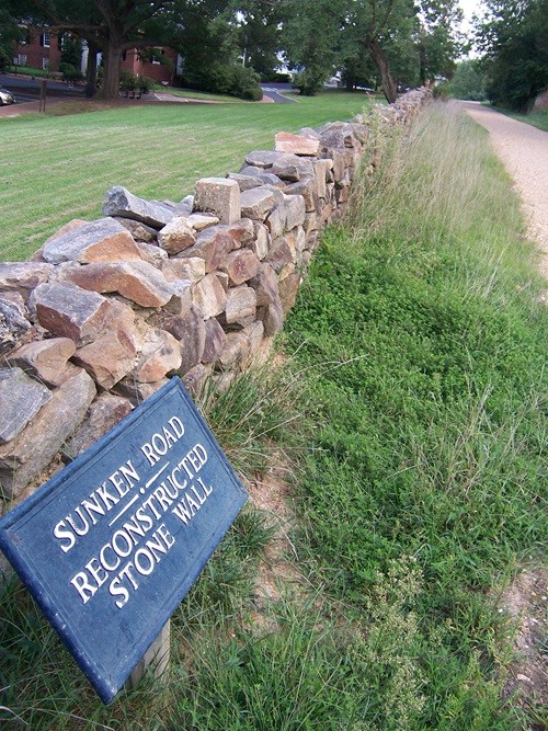 Stone Wall at Sunken Road #3