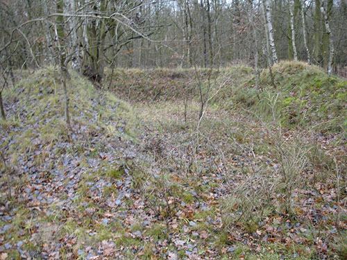 Döberitzer Heide (Truppenübungsplatz Döberitz) #2