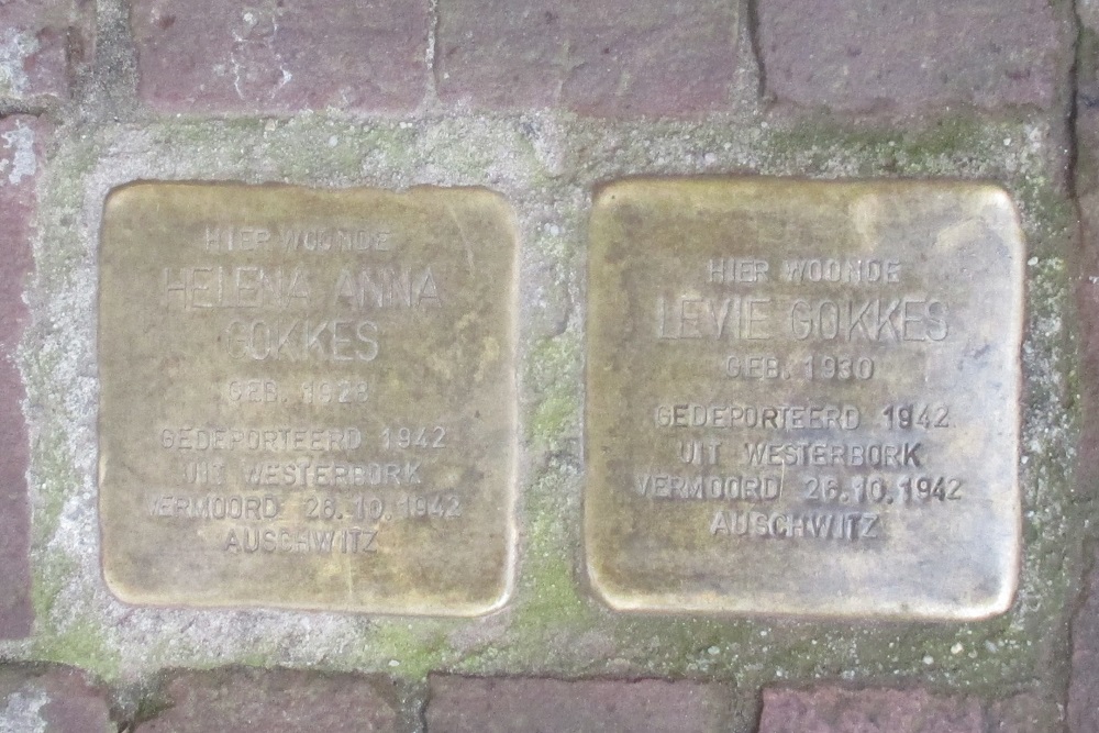 Stumbling Stones Rolderstraat 14 #5