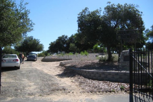 Commonwealth War Grave Live Oak Cemetery