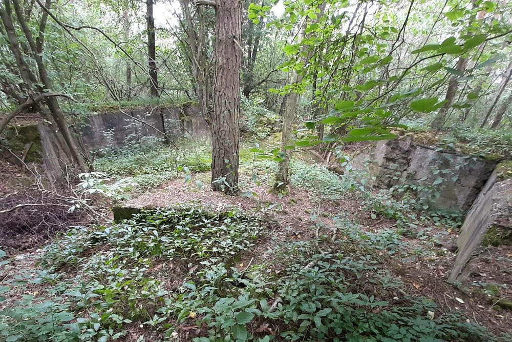 Flakstellung Zingsheim Bunker 5 #1