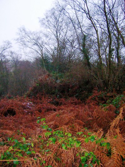 Pillbox FW3/24 Jarvis Brook