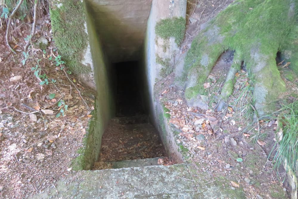 Artillery Bunkers Col du Donon #3