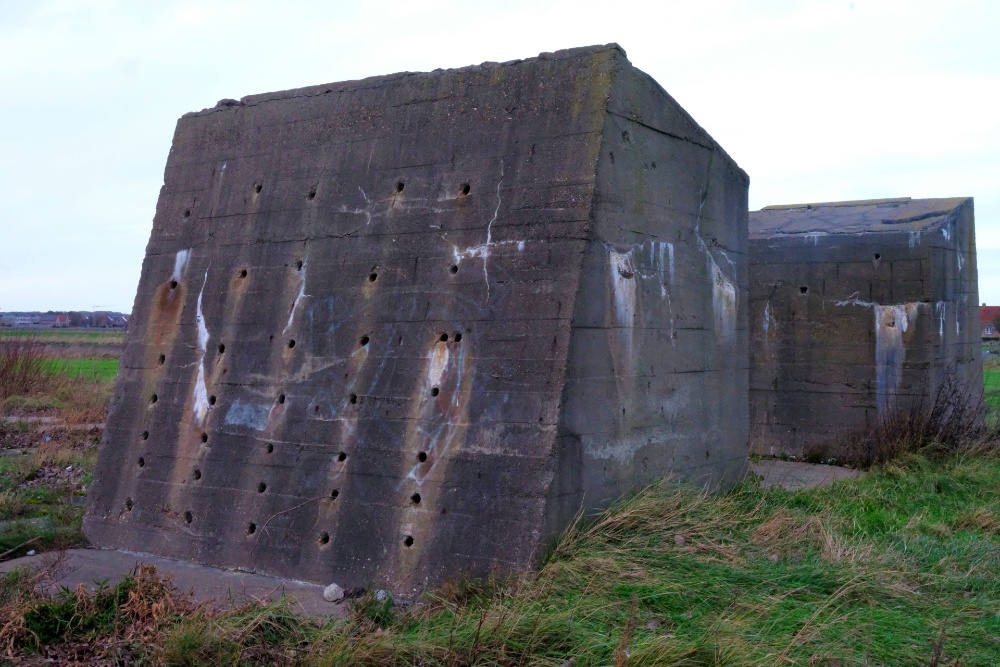 Remains German Gantry Crane #1