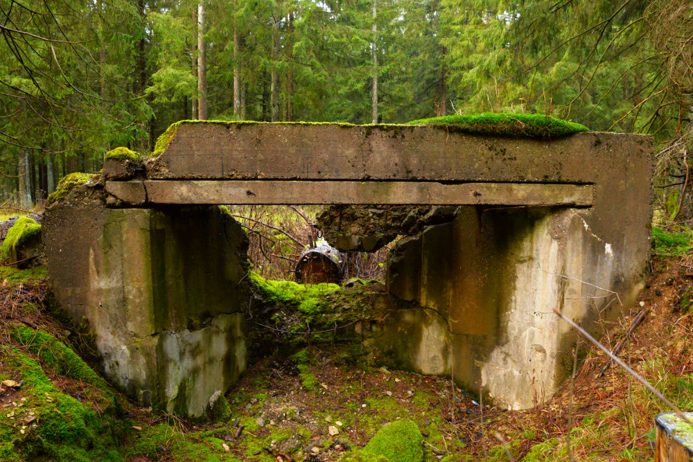 Westwall MG Shield Wahlerscheid #2