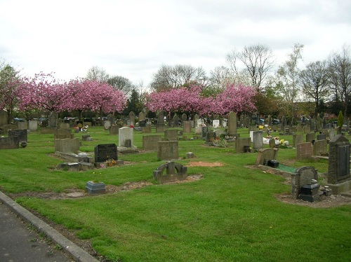 Oorlogsgraven van het Gemenebest Hollinwood Cemetery #1