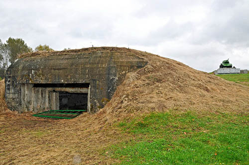 Maloyaroslavets Fortified Region - Casemate Borodino (A) #1