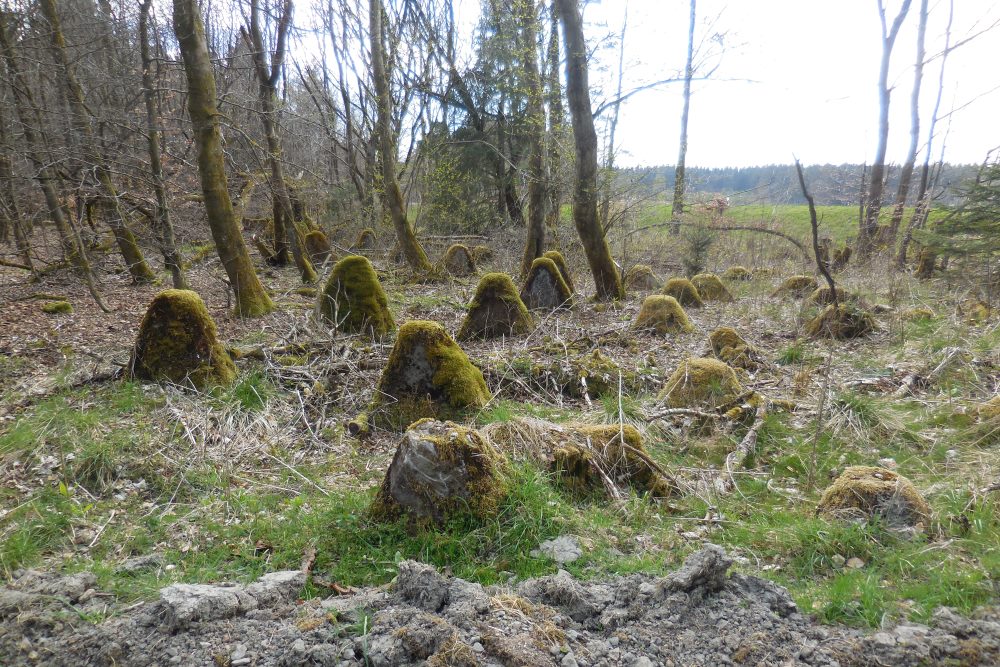 Westwall - Tank Barrier Losheimergraben #1