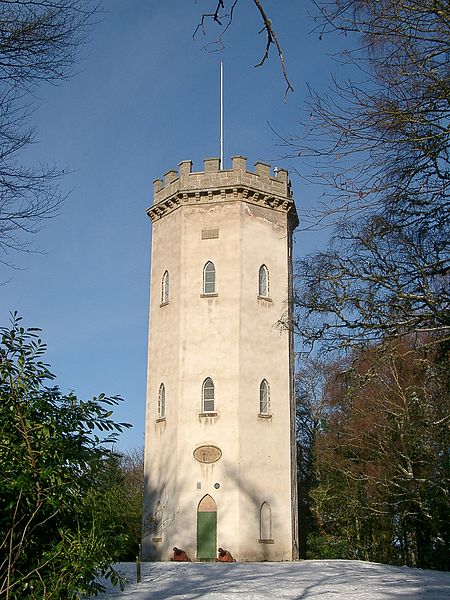 Nelson's Tower #1