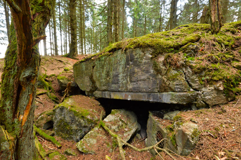 Bunker P105 Ochsenkopf-Peterberg #3