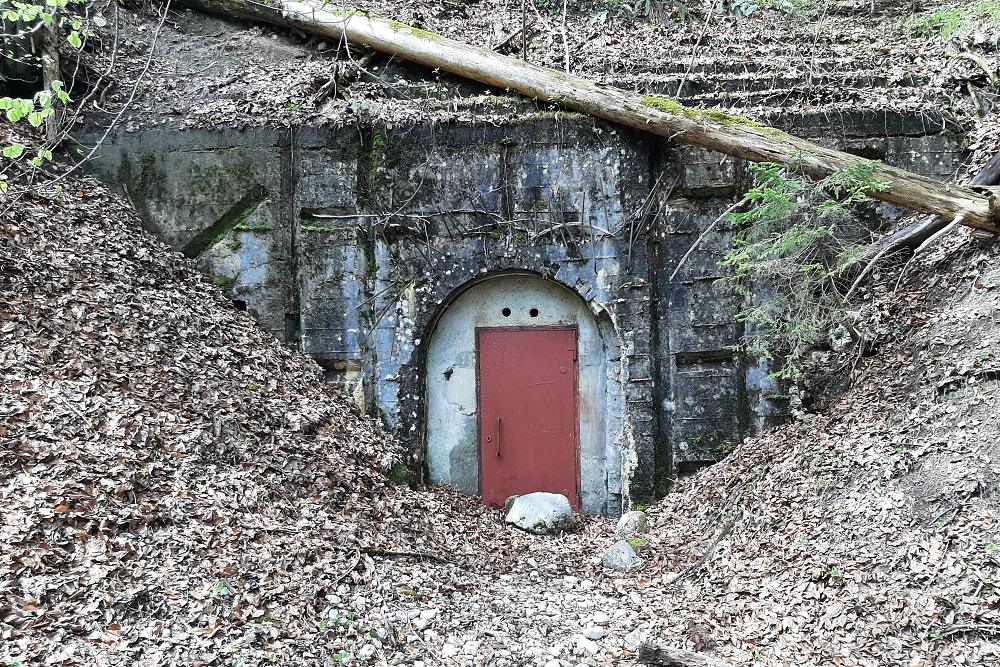 Luchtbeschermingsbunker Familie Gring #1