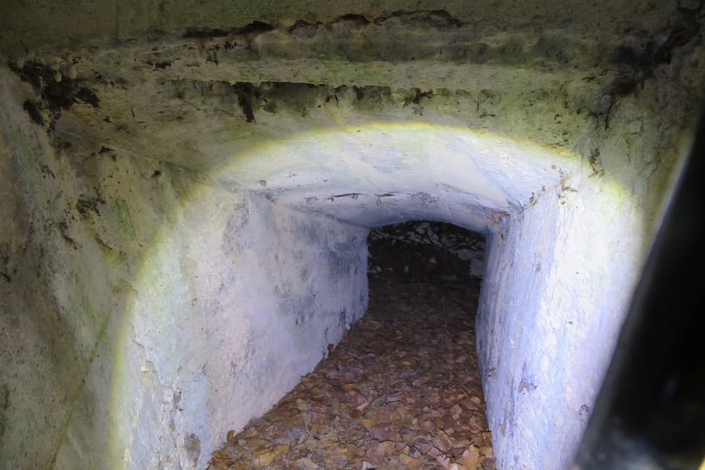 Bavarian Trenches IN TREUEFEST Apremont-la-Fort #4