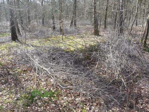 Group Shelter Type 1918/I De Fransche Kamp