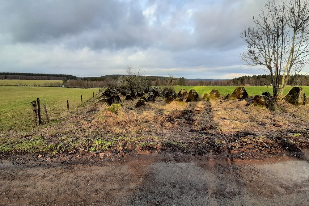 Westwall - Tank Barrier Hollerath