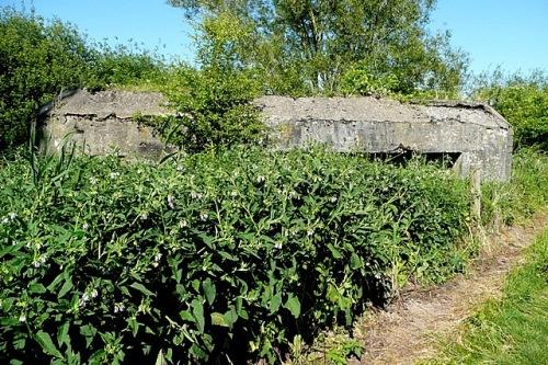 Vickers MG Bunker Halfway