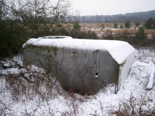 Festung Thorn - Ringstand 58c (B) Zamek Bierzglowski