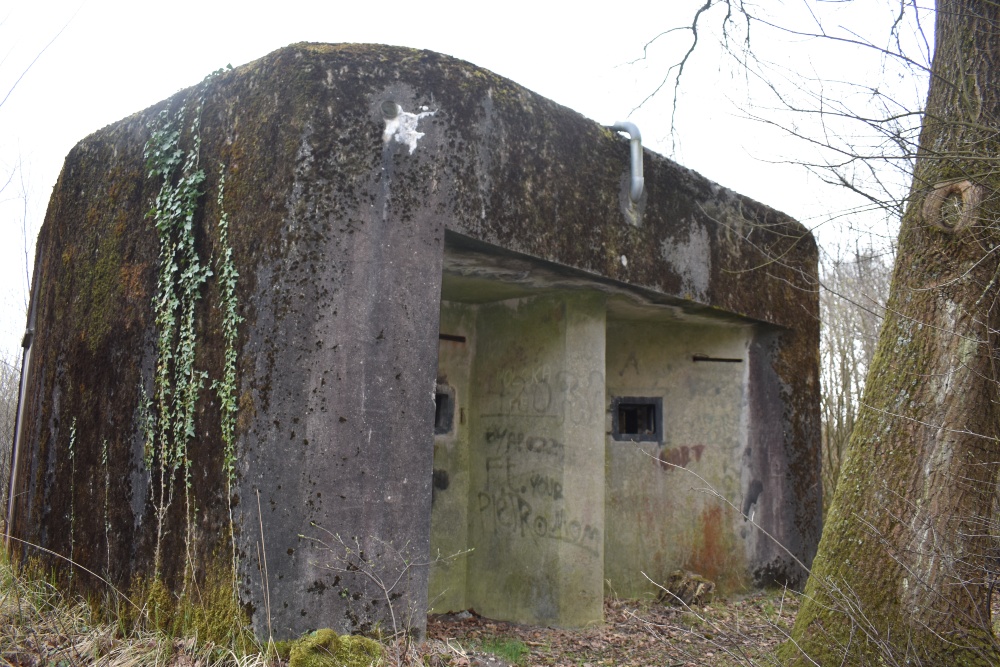 Diepenbeek Lock Bunker D3 #5