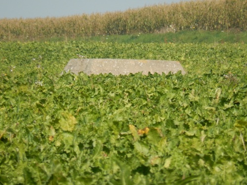 Stützpunkt 183 Eber - Sockel Würzburg-Riese Radar
