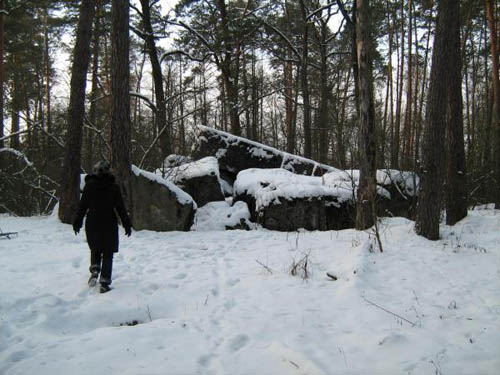 Stalin Line - Remains Casemate No. 457 #1