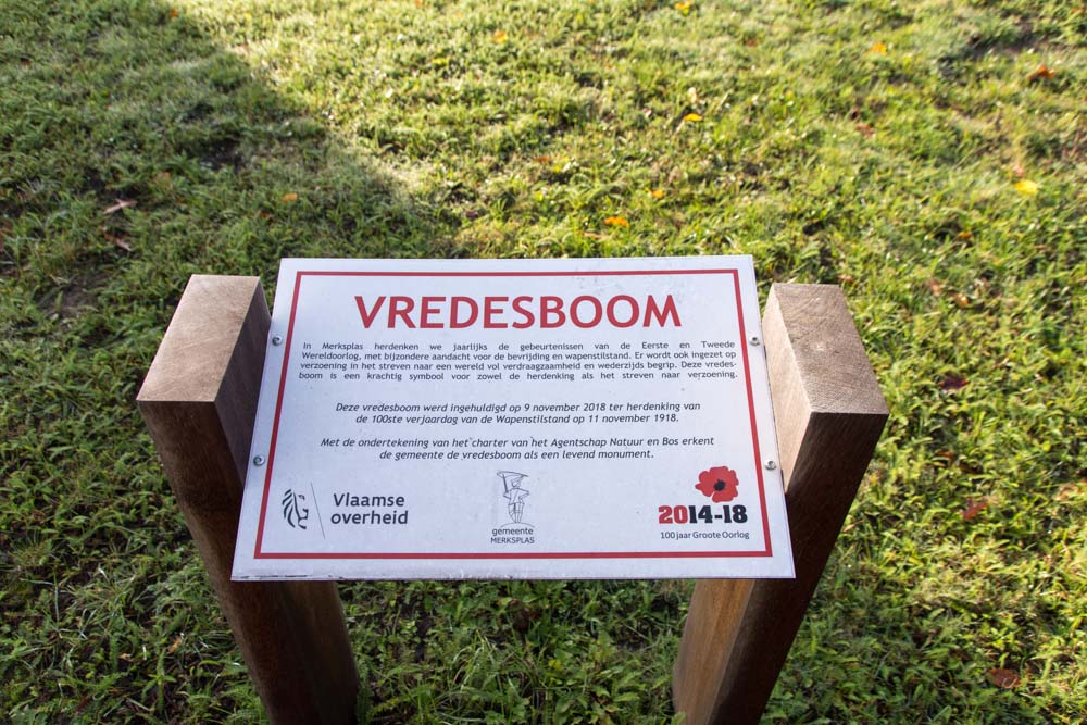 Vredesboom Merksplas #3