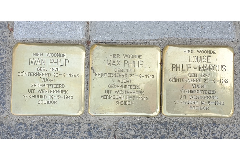 Stolpersteine Van der Veerelaan 8 #1