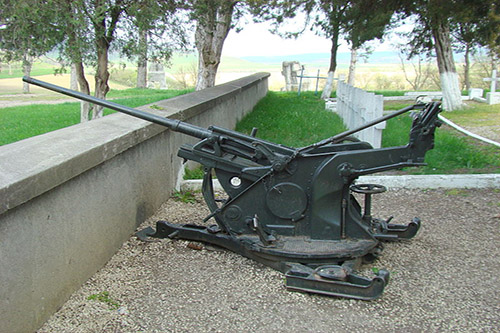 Romanian War Cemetery Oarba de Mures #5