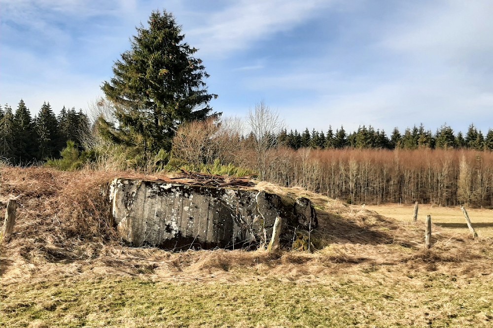 Duitse Bunker Hollerath #1