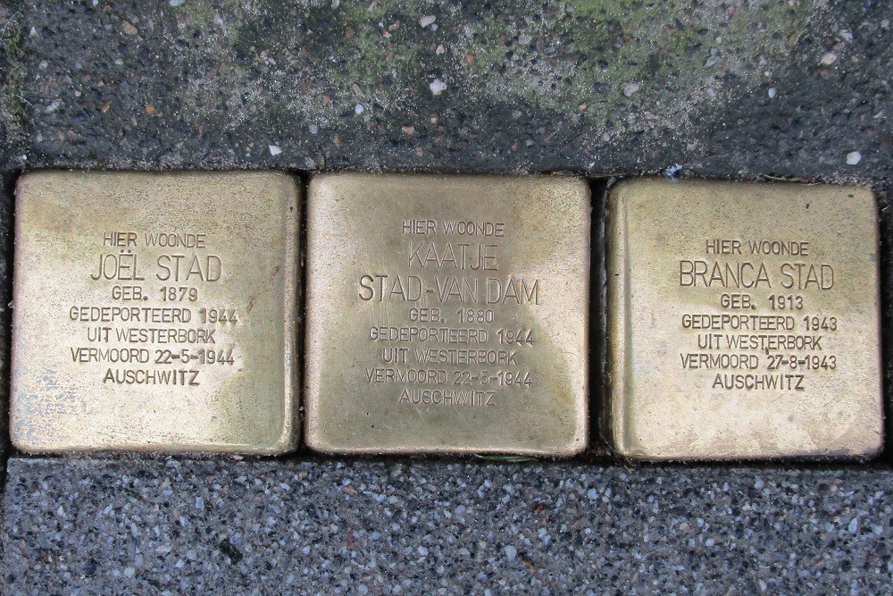 Stolpersteine Bergweg 147a #1