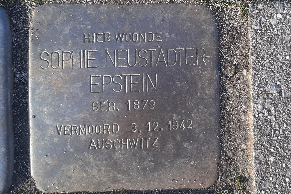 Stolpersteine Hortensiastraat 61 #3