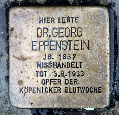 Stolperstein Salvador-Allende-Strae 43