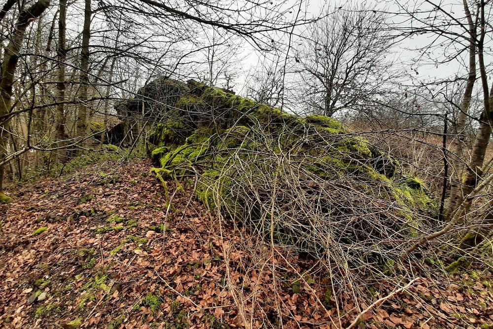 Bunker no. 18 Vogelsang #5